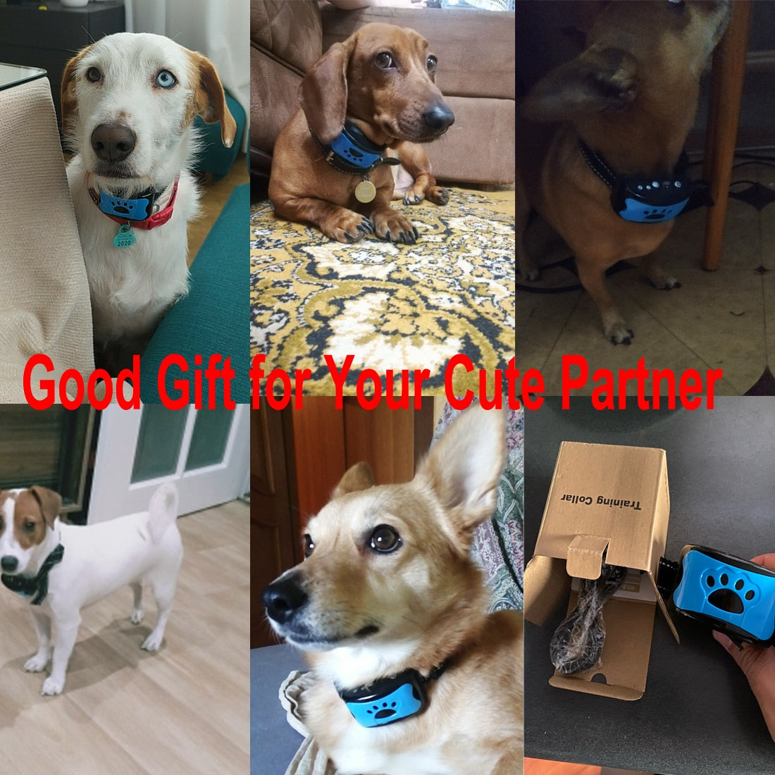 Ultrasonic Anti-Bark Dog Training Collar by Geo’s Online Store