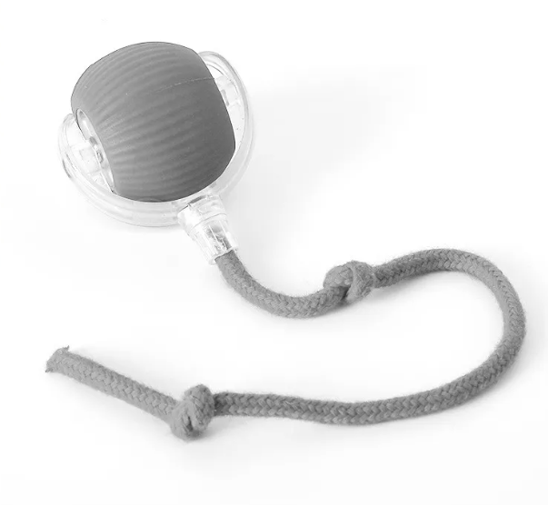 PurrPlay Self-Rolling Cat Toy Ball by Geo’s Online Store