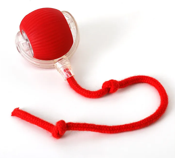PurrPlay Self-Rolling Cat Toy Ball by Geo’s Online Store