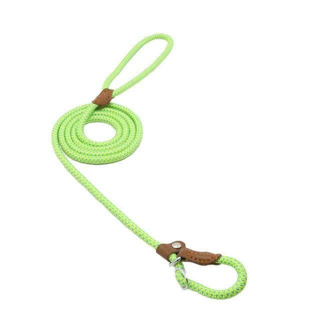 Nylon Pup Set by Geo’s Online Store