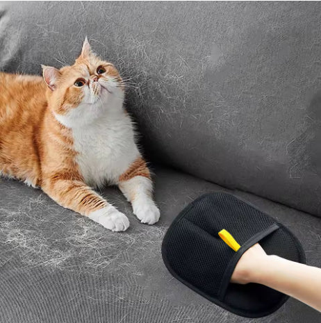 Fur Remover Glove (Private Listing U1175793) by Geo’s Online Store