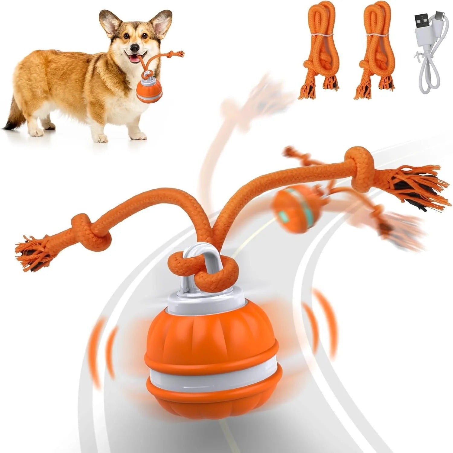 Interactive Pet Rolling Ball Toy USB Rechargeable by Geo’s Online Store