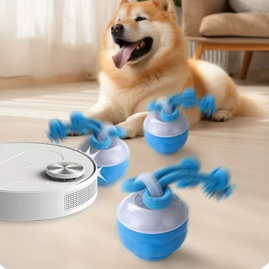 Interactive Pet Rolling Ball Toy USB Rechargeable by Geo’s Online Store