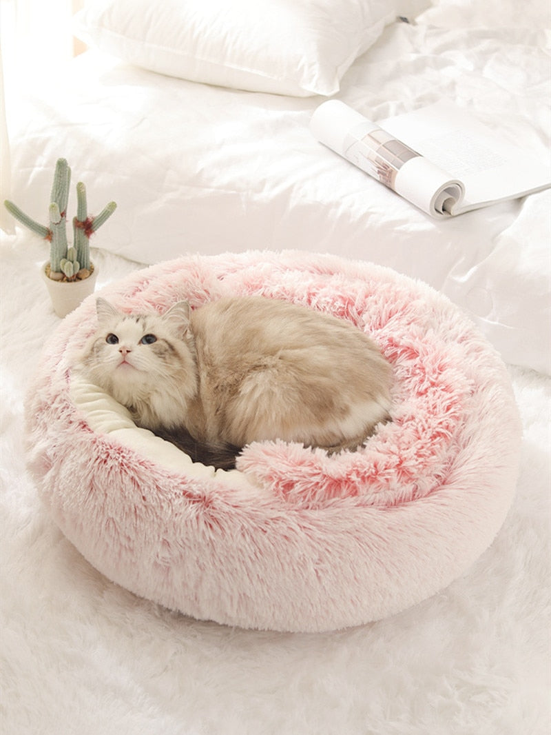 2-in1 Pet Bed by Geo’s Online Store