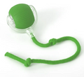PurrPlay Self-Rolling Cat Toy Ball by Geo’s Online Store