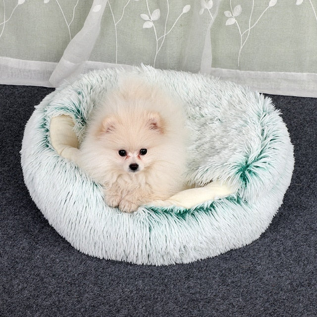 2-in1 Pet Bed by Geo’s Online Store