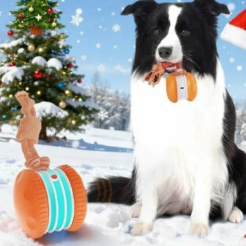 Interactive Pet Rolling Ball Toy USB Rechargeable by Geo’s Online Store