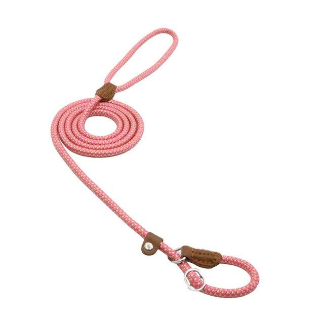 Nylon Pup Set by Geo’s Online Store