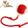 Smart Rolling Pet Ball by Geo’s Online Store