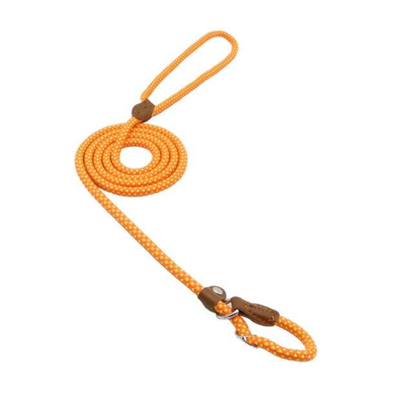 Nylon Pup Set by Geo’s Online Store