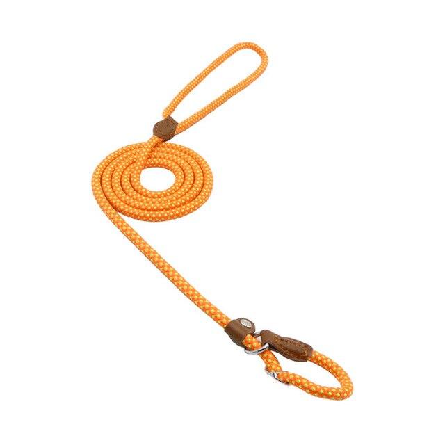 Nylon Pup Set by Geo’s Online Store