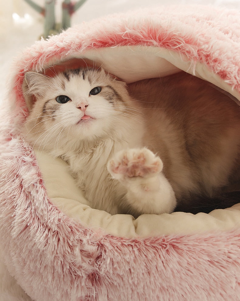 2-in1 Pet Bed by Geo’s Online Store