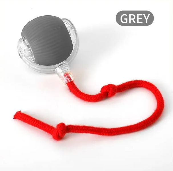 PurrPlay Self-Rolling Cat Toy Ball by Geo’s Online Store