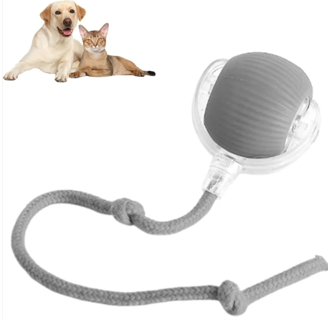 Smart Rolling Pet Ball by Geo’s Online Store