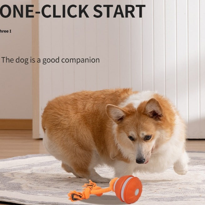 Interactive Pet Rolling Ball Toy USB Rechargeable by Geo’s Online Store