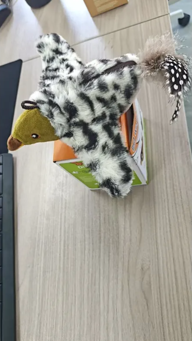 Plush Bird Pet Toy by Geo’s Online Store