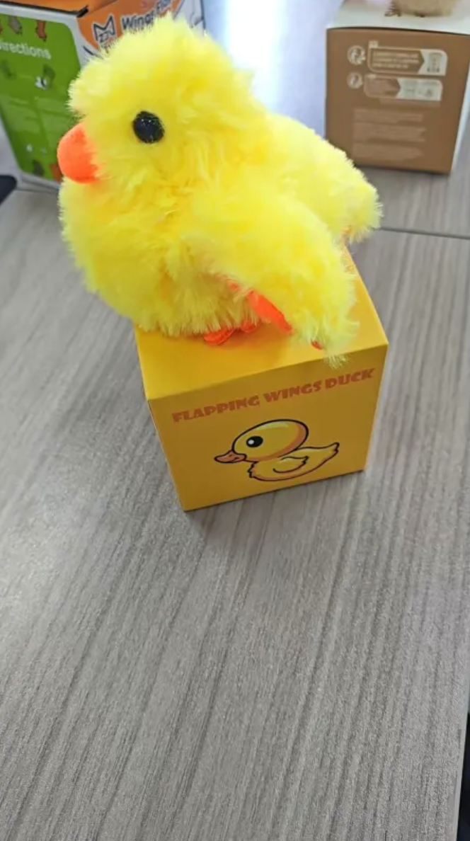 Plush Bird Pet Toy by Geo’s Online Store
