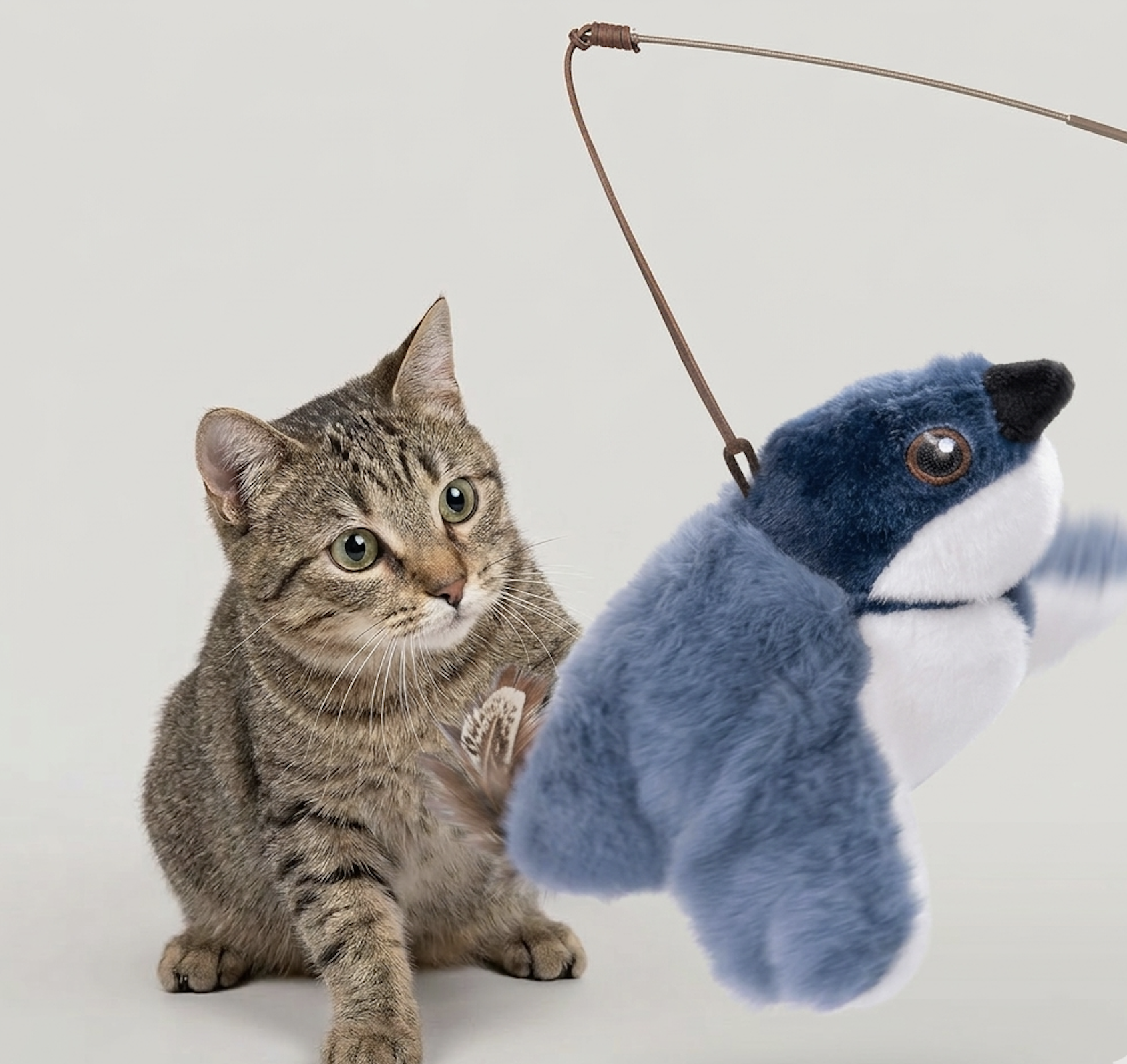 Flapping Bird Cat Toy by Geo’s Online Store