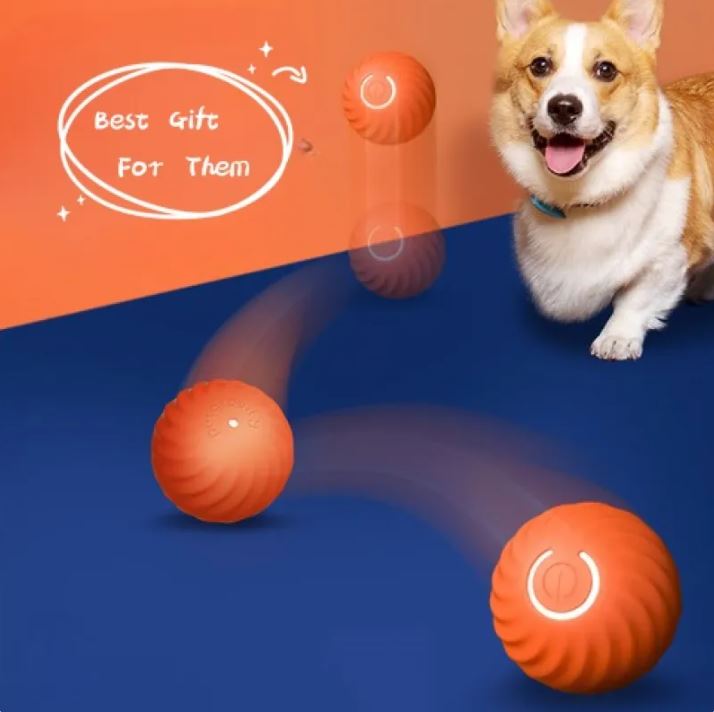Pet Dog Rubber Ball Toys For Dogs by Geo’s Online Store